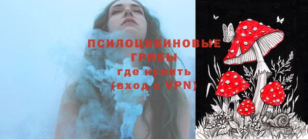 Альфа ПВП Корсаков